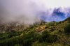8/23 IMG_0448 site.jpg